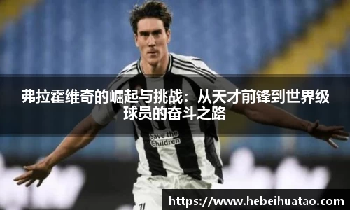 弗拉霍维奇的崛起与挑战：从天才前锋到世界级球员的奋斗之路